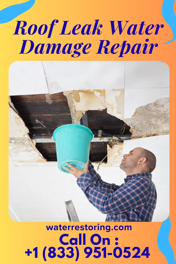 Roof Leak Water Damage Repair in Reynolds, IL